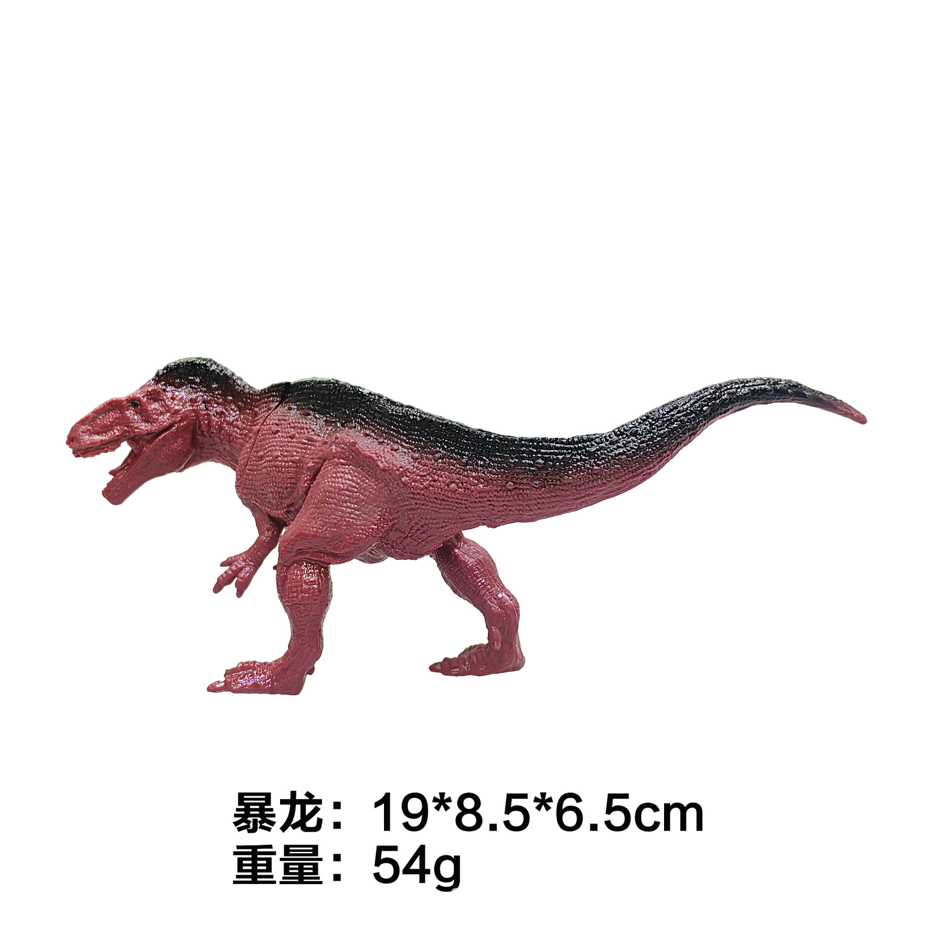 7-inch Hollow Tyrannosaurus Rex