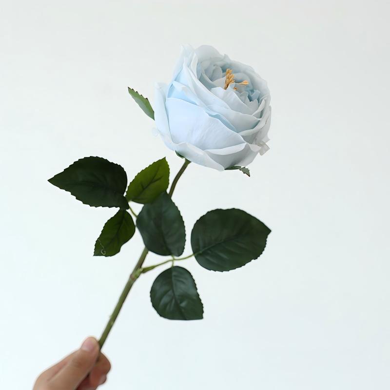 Bleu clair