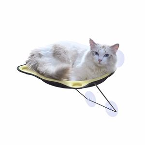 Sağlam küçük Pet yavru karyola yatak emme-up pencere levrek koltuk hamak katı desen EVA kedi duvar rafı pencere dinlenme koltuk - Product Image 1