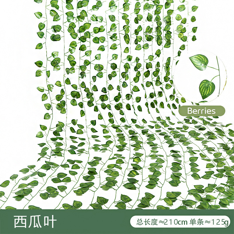 Feuilles de pastèque (12 feuilles par paquet)