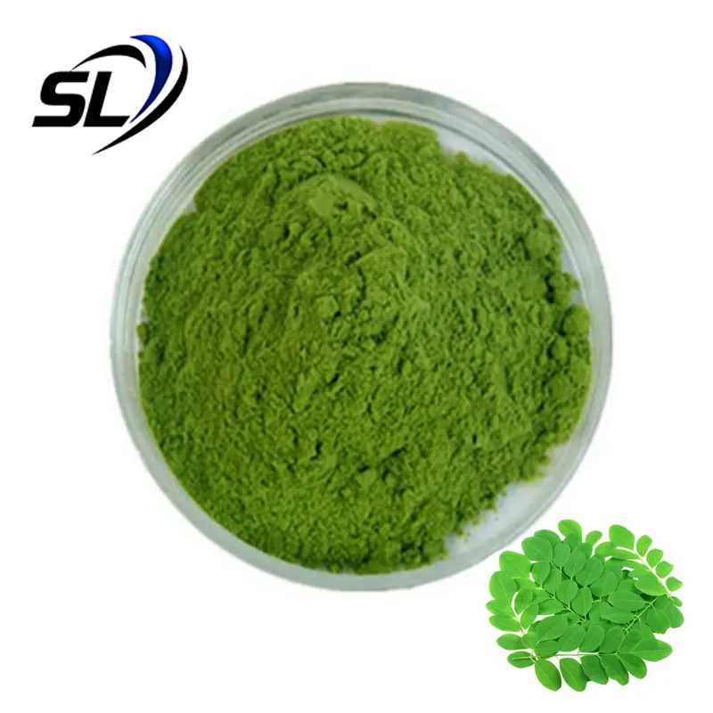 Lieferung Natürliches Moringa-Blätter-Extraktpulver Moringa-Blätterpulver Moringa-Pulver