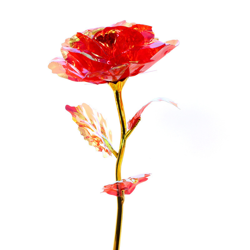 colorful One red rose, 24 cm long.