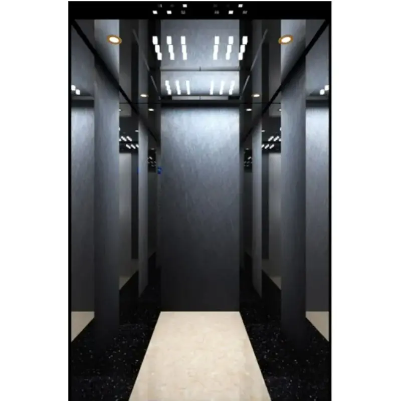 Elevador de pasajero cómodo de estilo tradicional, elevador con coste de elevación