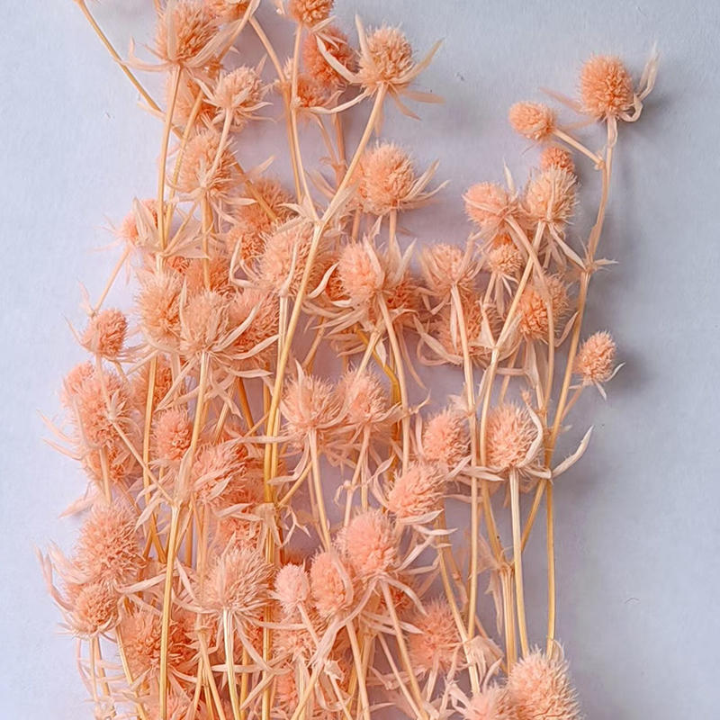 Tête de fleur de fruit d'amant rose