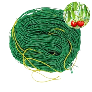 Hot Selling Customizable HDPE Sturdy Durable Agriculture Square Mesh Plants Supporting <strong>Net</strong> <strong>Trellis</strong> <strong>Net</strong> - Product Image 1