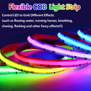 แถบไฟ LED Rgbic ดิจิทัล24โวลต์แบบโปรแกรมได้ไฟ LED ปรับสีได้ตามต้องการสำหรับติดผนังเพดาน