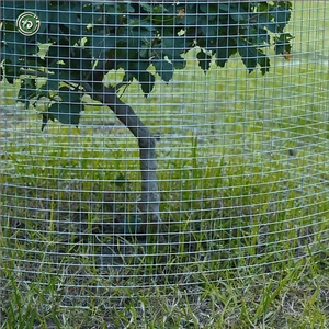 1.5m Welded <strong>Mesh</strong> <strong>Tree</strong> <strong>Guard</strong> Metal Welded Wire <strong>Mesh</strong> <strong>Tree</strong> <strong>Guard</strong> 60&quot; Welded <strong>Mesh</strong> <strong>Tree</strong> <strong>Guard</strong> - Product Image 5