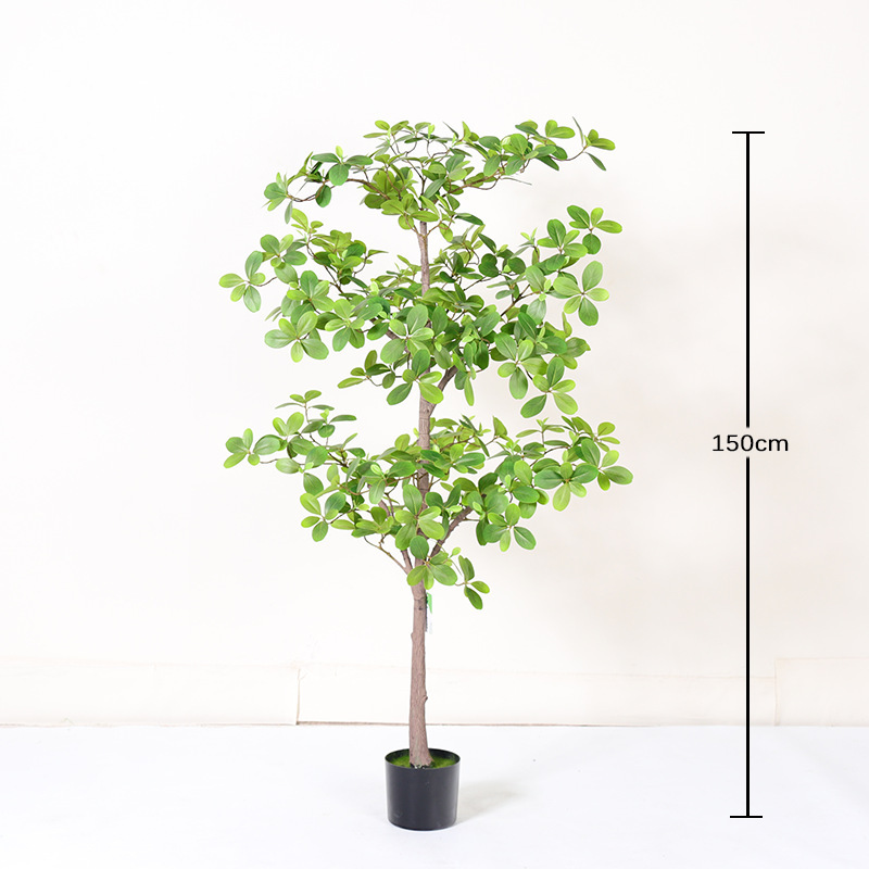 150cm