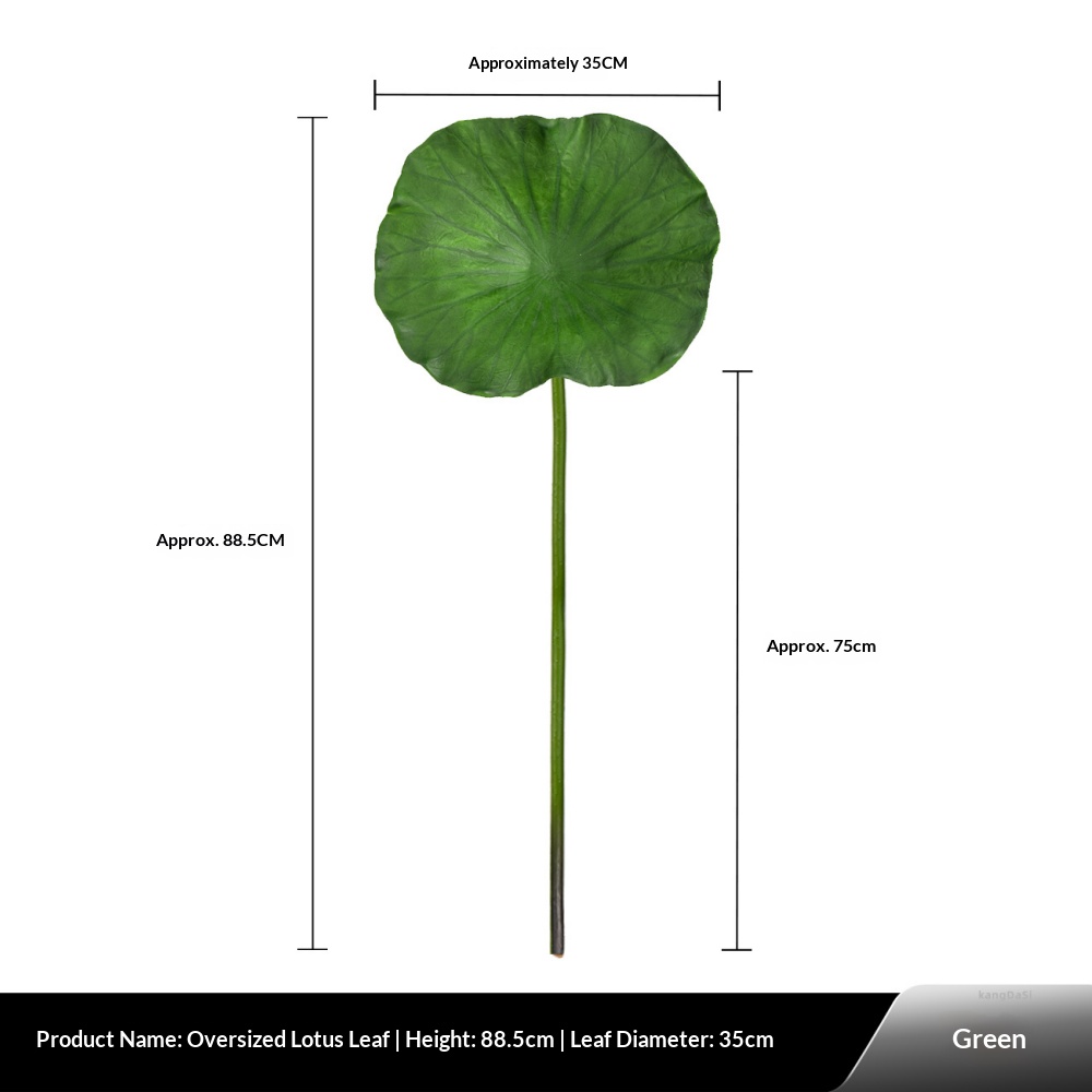 Feuille de lotus augmentée