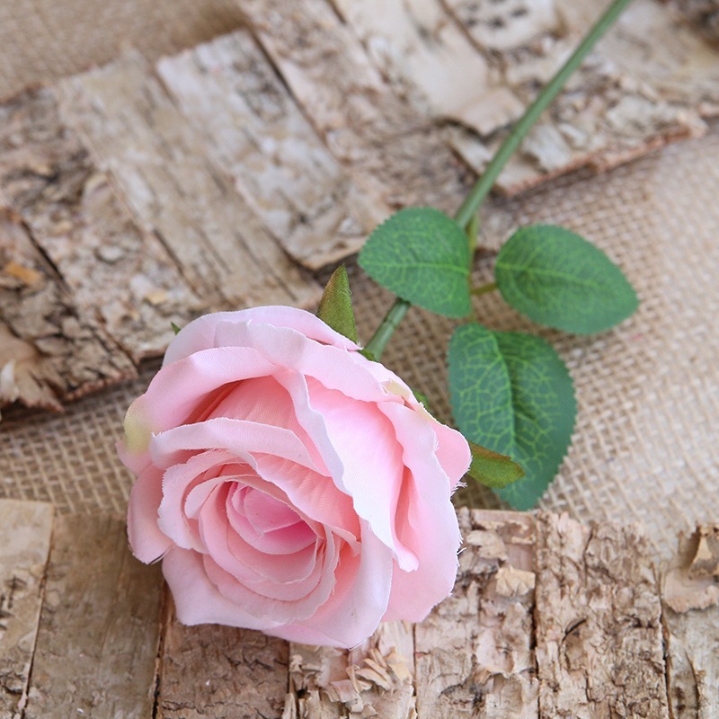 5# rosa