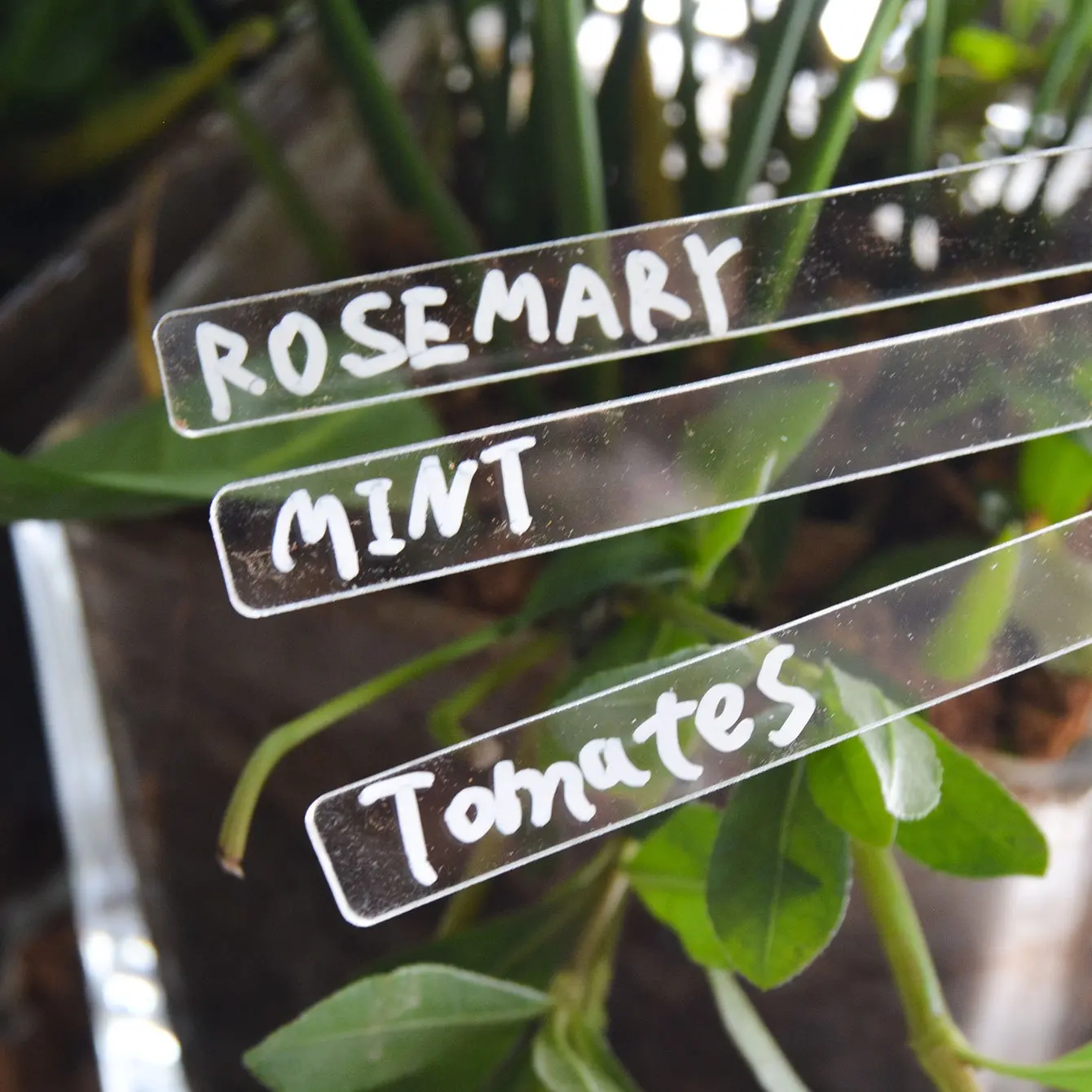 Etiqueta de planta em acrílico transparente tipo T para jardim, marcador à prova d'água para plantas