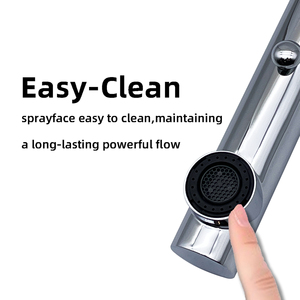 Musluk evrensel yedek parça 2 fonksiyon mutfak lavabo musluğu püskürtme başkanı banyo mutfak cilalı nikel - Product Image 5