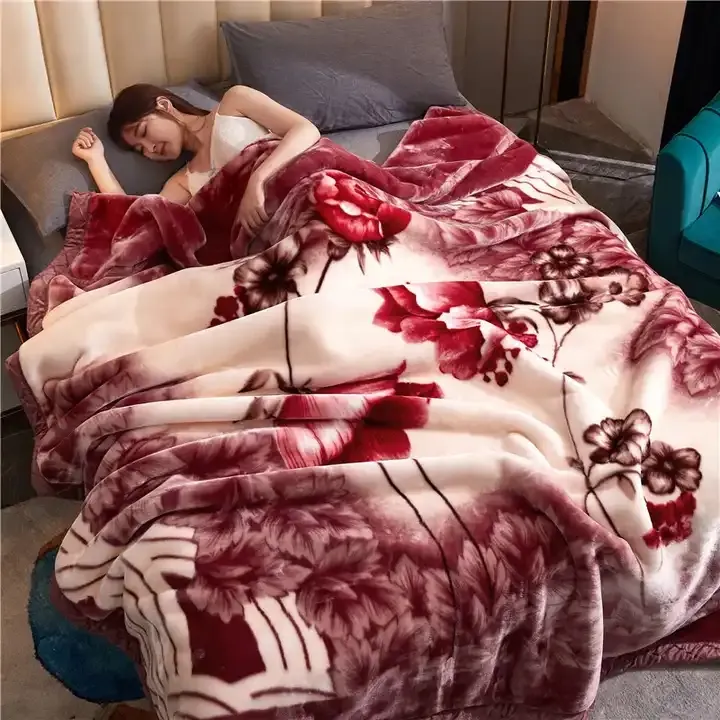Super Macio Estilo Coreano Pesado Espanha Cobertor De Pelúcia Suave Quente 2 Ply Imprimir Raschel Cobertor De Cama Para O Inverno
