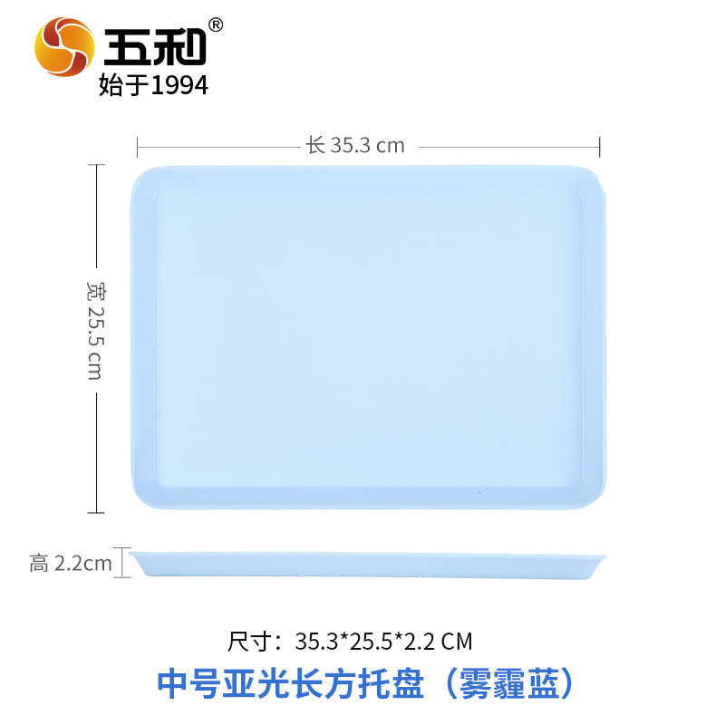 Medium-sized matte rectangular tray 4037C (dusty blue)