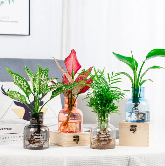 Imitation glass hydroponic plant flower vases plastic resin transparent Pot aromatherapy decorative ornaments