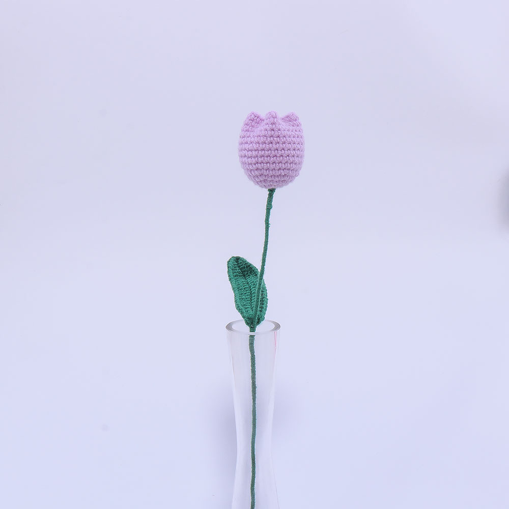 Viola
