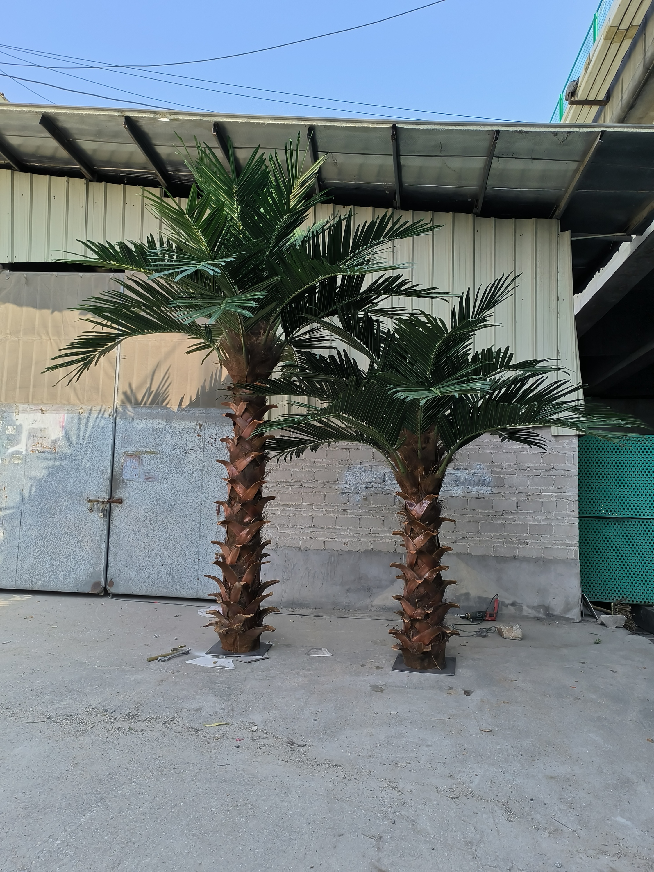Olive de palme