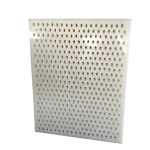 ZSPEカスタムPVCHDPEプラスチック穴あきシートポリプロピレンPP穴あきプレート - Product Image 1