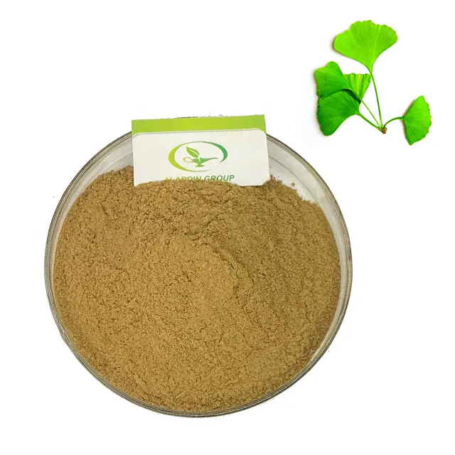 GMP bubuk ekstrak daun biloba alami murni, kualitas tinggi