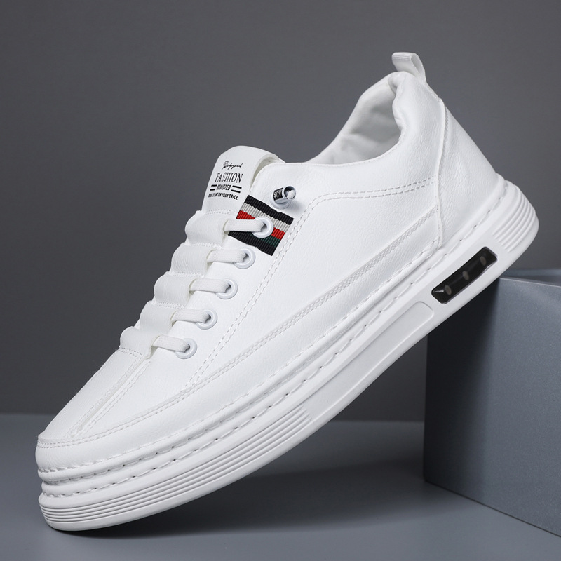 F19 blanc