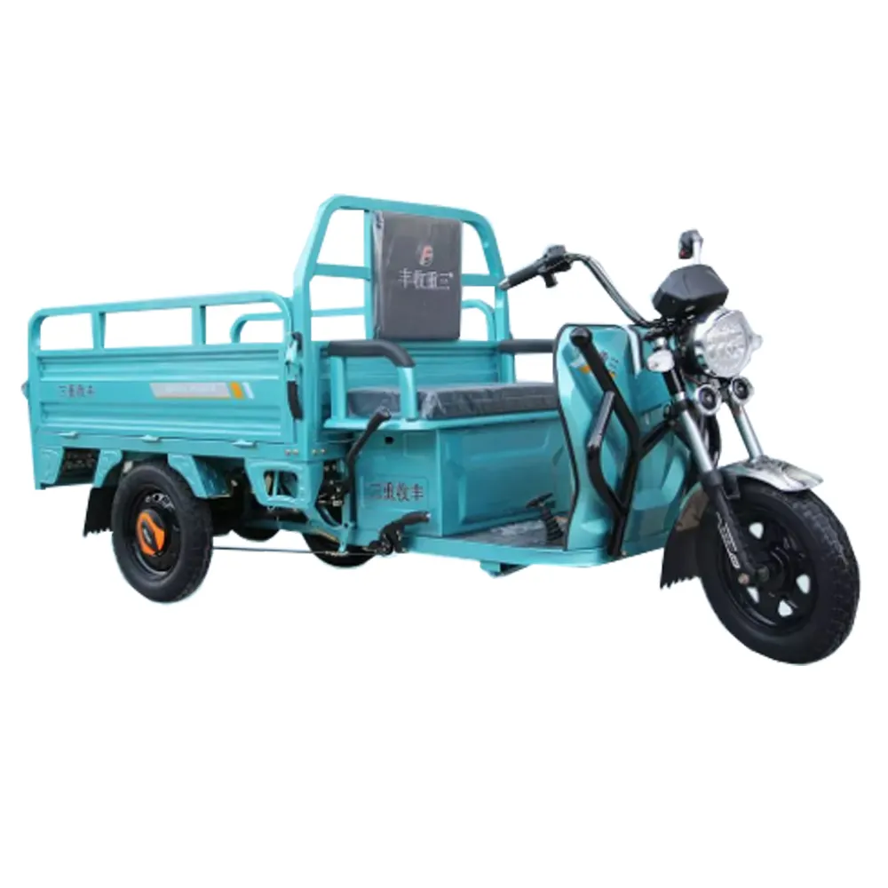 Three Wheel Motorcycle Transport Adult Tram Pull Goods Consignment Agricultural Electric Tricycle