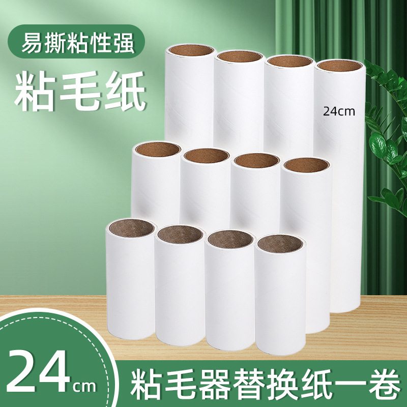 24cm