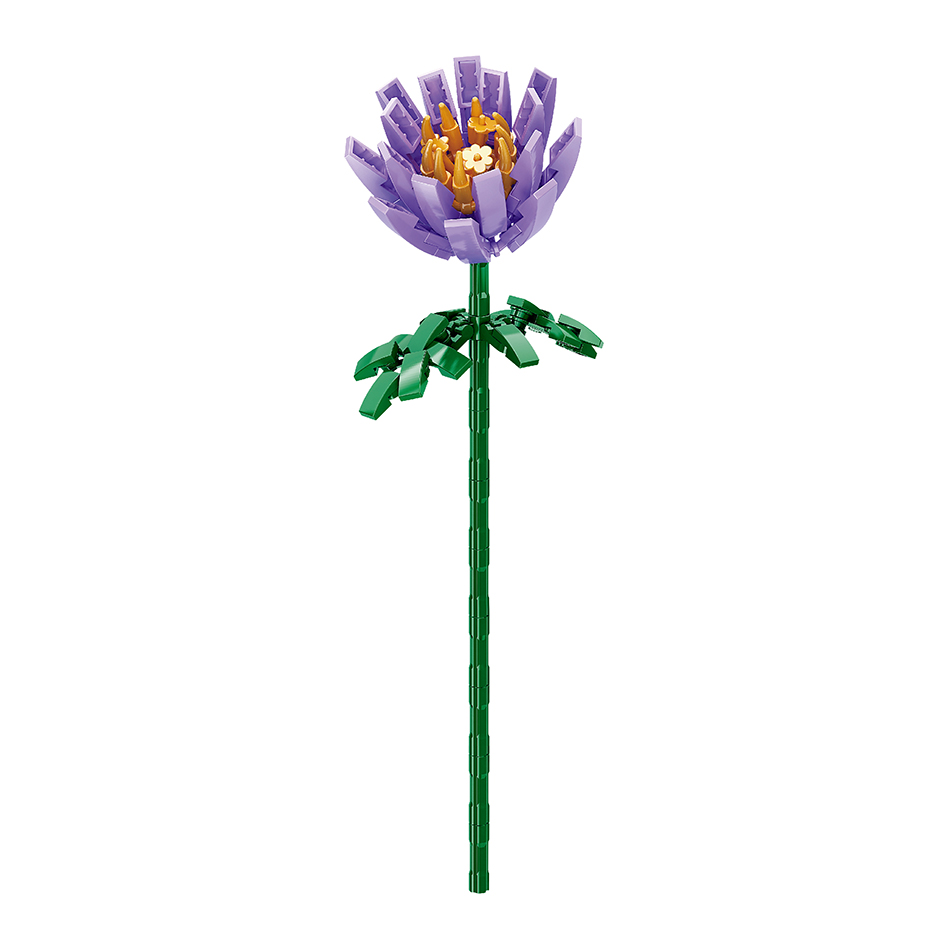 crocus violet