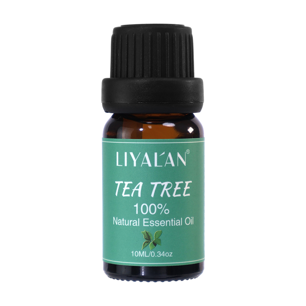 10ml/Tea Tree Essential Oil