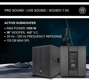 精度专业音频WQ18D1-7.5K 1100W 18英寸专业强大的D类放大器音响系统有源木制扬声器 - Product Image 3
