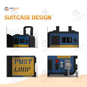 Мощная физическая магнитная машина Pemf Horse Pmst Loop Pemf - Product Image 4