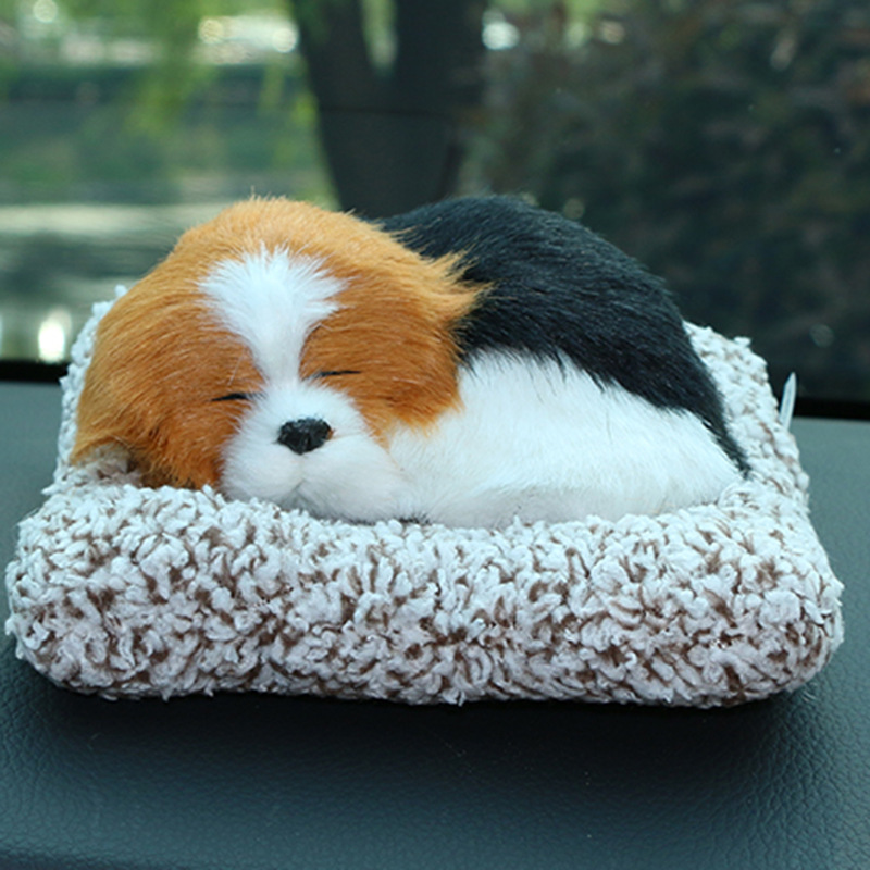 Small border collie