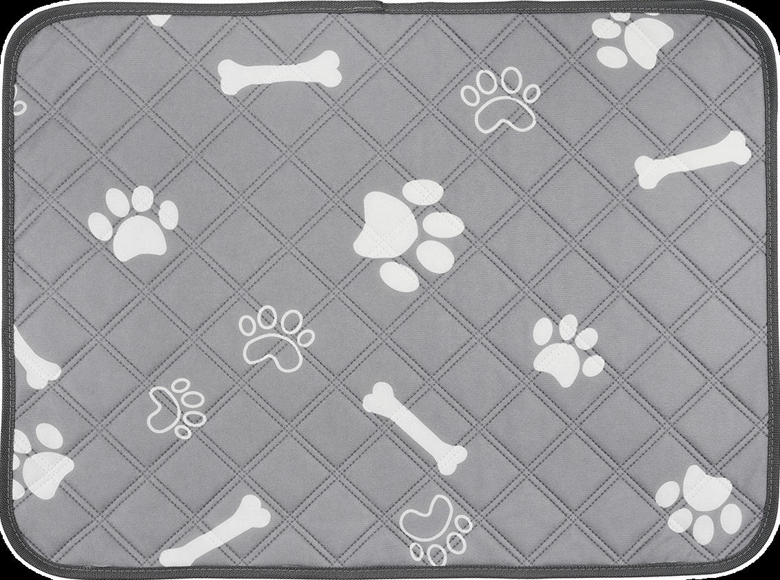 Gray background dog paw