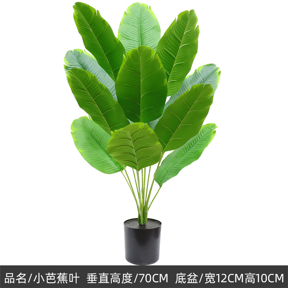 70cm small banana leaf