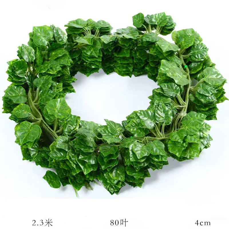 B-81 leaves Green