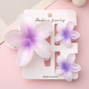 Großhandel Sweet Plastic Plume ria Haar klaue Hawaiian Haars pange Sets für Frauen PS Material Party Täglicher Gebrauch Haarschmuck - Product Image 6