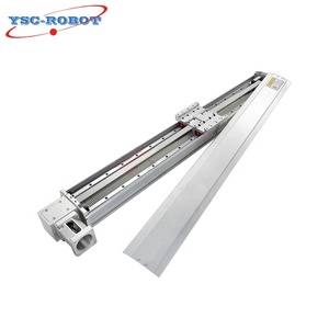 YSC YTB serie cnc modulo di scorrimento lineare attuatore lineare lineare robotica guide lineari - Product Image 2