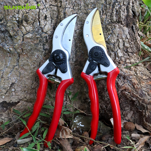 धूप फूल बागवानी कैंची स्टेनलेस स्टील प्रूनर गार्डन और उपकरण के साथ पौधों के लिए टिकाऊ बगीचे शेयर्स - Product Image 6