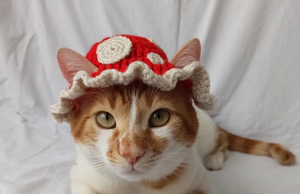 Häkeln Sie Katzen hut Topi Sombrero Hut mit Ohr löchern Gestrickte Haustier hütte Handwerk Hund Häkeln Eimer Hut Rote Farbe mit beige Punkten - Product Image 5
