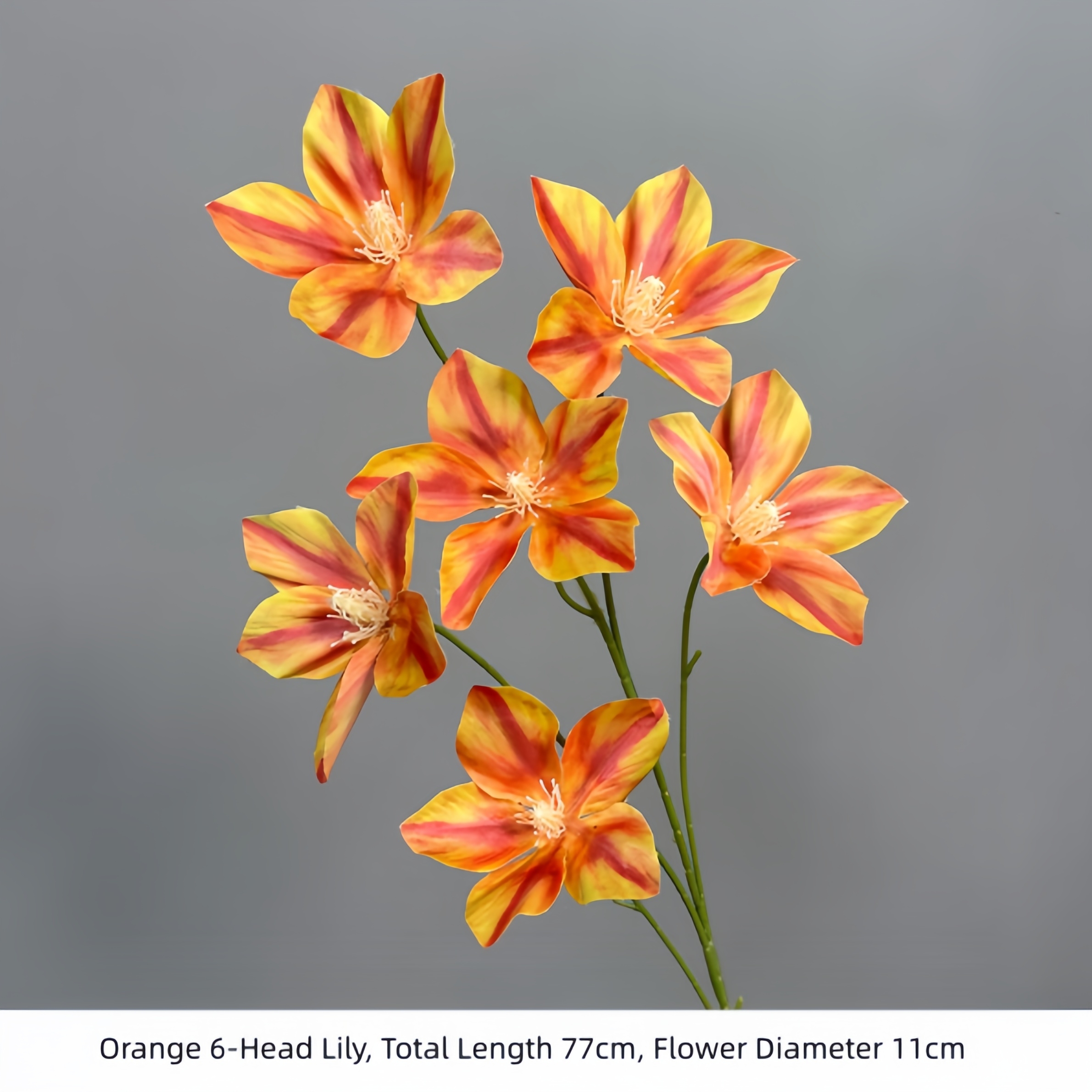 Lys orange à 6 têtes