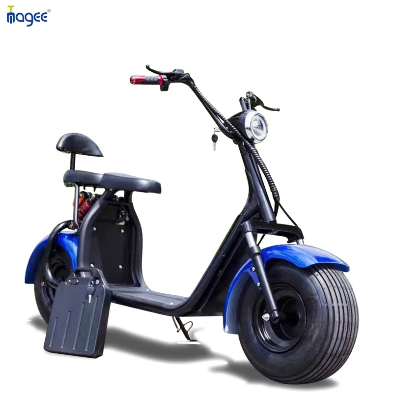 2024 ue vendita calda 2 ruote elettrico Trikes grasso pneumatico moto Scooter 1500W EEC tricicli E Citycoco Scooter per adulti
