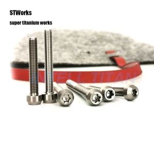 DIN 912 Tc4 titanyum cıvata M5 M6 M8 M10 torx başlı vida motosiklet için