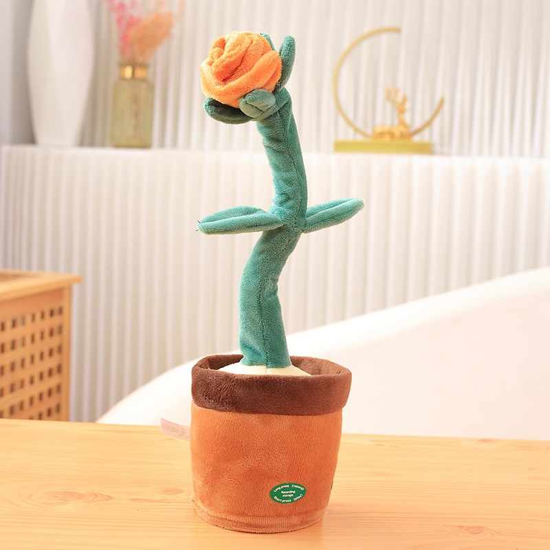 Orange Rose