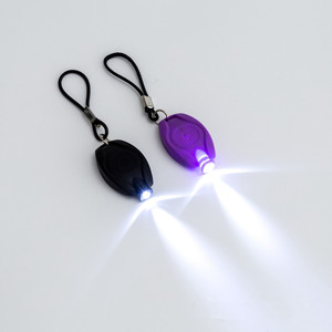 Mini <span class=keywords><strong>LED</strong></span> Keychain Đèn pin chùm trắng huy hiệu đèn Đuốc Đèn Cắm Trại thiết bị ngoài trời khuyến mại Móc Khóa Carabiners - Product Image 5