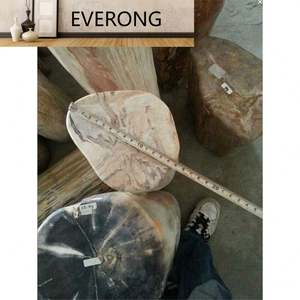 Haute valeur pour la collection Pierre décorative naturelle de luxe Bois fossilisé pétrifié - Product Image 4