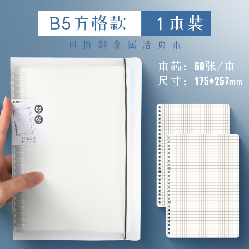 Carnet à grille B5600 B5