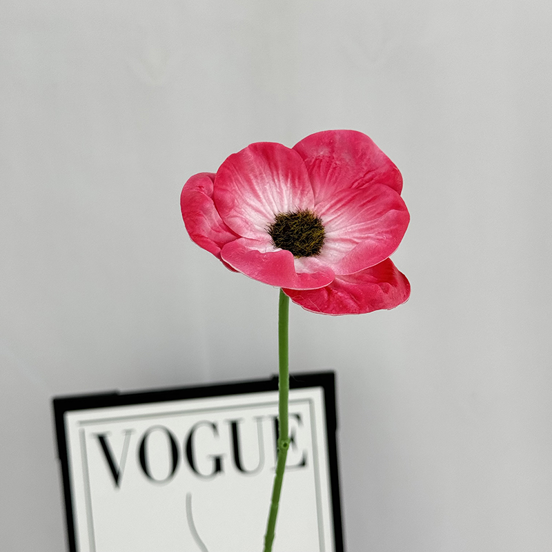 Rouge rose