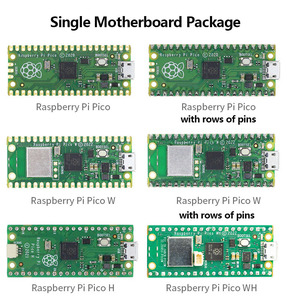Raspberry Pi Pico scheda di sviluppo, microcontrollore, C ++/Python programming principiante controller