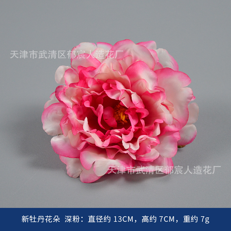 Nouvelle poudre profonde de fleur de pivoine