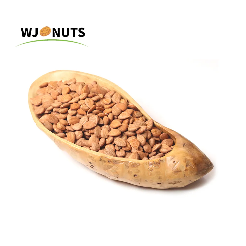 Wangjiang wholesale almonds raw almonds organic almond nuts