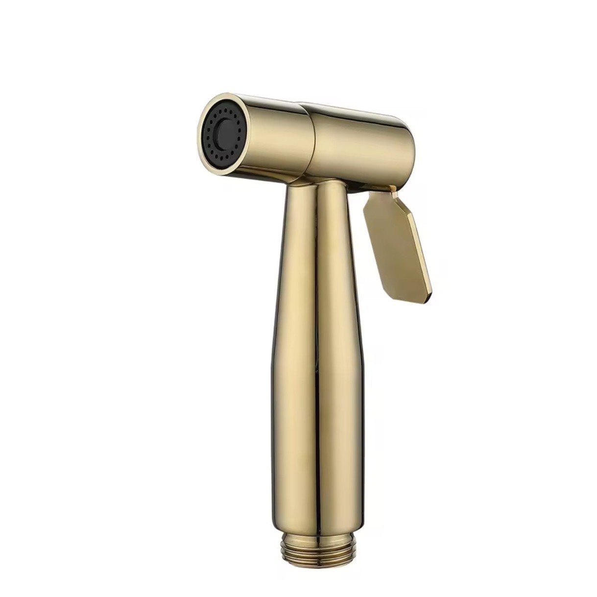 304 Bidet Sprayer, Gold Finish